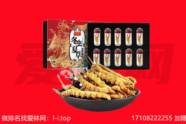 钦州市钦南回收虫草.jpg